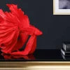 Riess-Ambiente Dekoration > Design Deko Figur Kampffisch CROWNTAIL 35cm rot Betta Fisch Skulptur