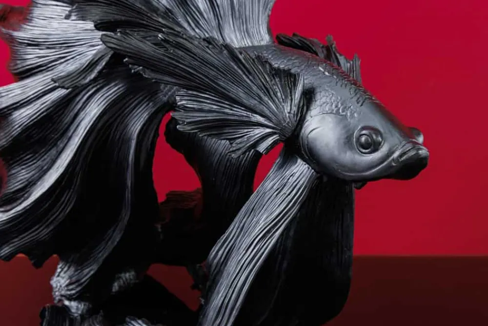 Riess-Ambiente Dekoration > Design Deko Figur Kampffisch CROWNTAIL 65cm schwarz Betta Fisch Skulptur