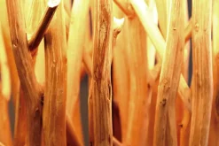 Riess-Ambiente Mehr...|Mehr... ><noscript><img width=