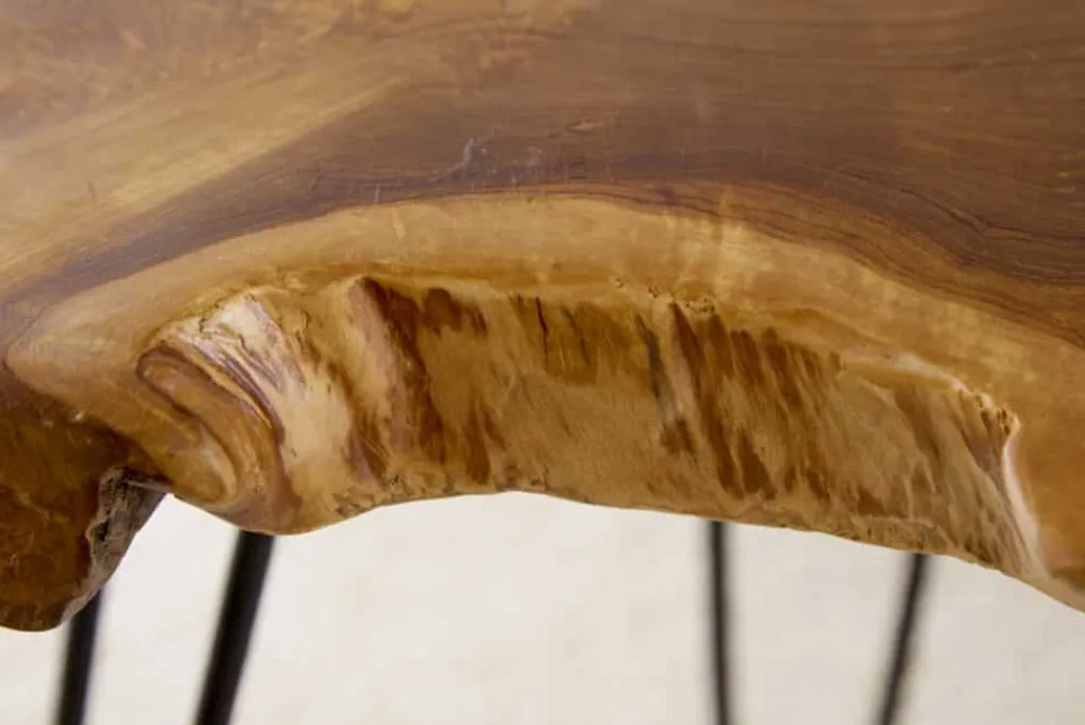 Riess-Ambiente Mehr...|Couchtische > Einzigartiger Beistelltisch WILD 50cm Teak Massivholz Baumscheibe Metallbeine schwarz