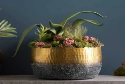 Riess-Ambiente Goldene Möbel|Schalen ><noscript><img width=
