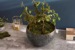Riess-Ambiente Schalen ><noscript><img width=