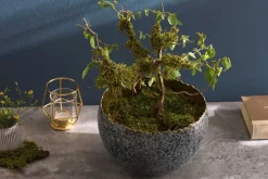 Riess-Ambiente Schalen ><noscript><img width=