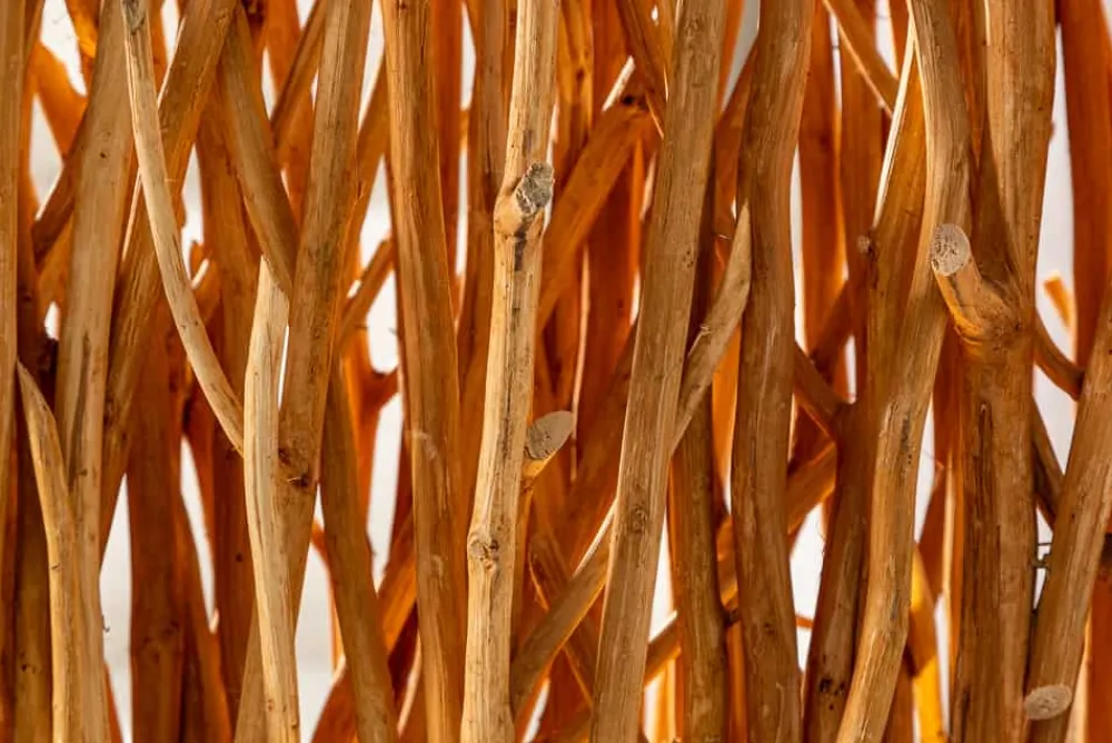 Riess-Ambiente Mehr...|Mehr... > Handgefertigte Stehlampe NATURAL PARAVENT 180cm Longan-Holz Raumtrenner