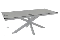 Riess-Ambiente Haus & Garten|Esstische > In- und Outdoor Esstisch GALAXIE 200cm anthrazit Keramik Aluminium wetterfest