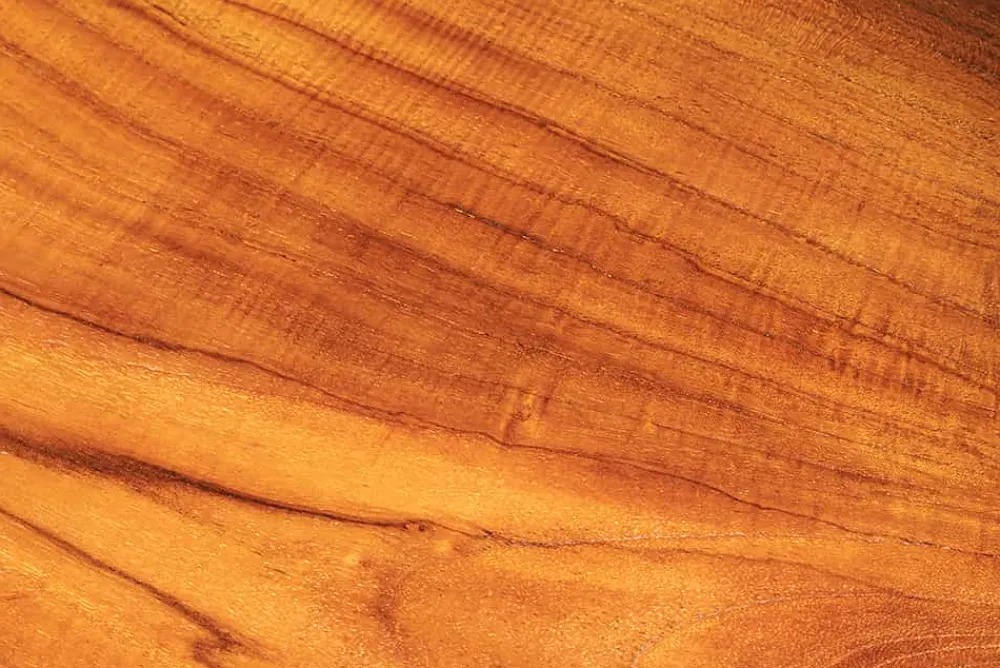 Riess-Ambiente Sitzbänke|Mehr... > Massive Bank ROOT 100cm braun natur Teakholz Baumstamm Holzstrebe
