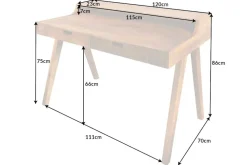 Riess-Ambiente Mehr...|Mehr... > Massiver Sekretär MONSOON 120cm Mangoholz Schreibtisch