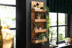 Riess-Ambiente Mehr...|Wandregale ><noscript><img width=