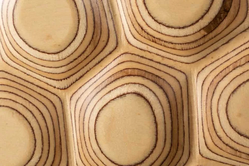 Riess-Ambiente Mehr...|Sideboards & Kommoden > Massives Sideboard ORGANIC LIVING 175cm Mangoholz organisches Design