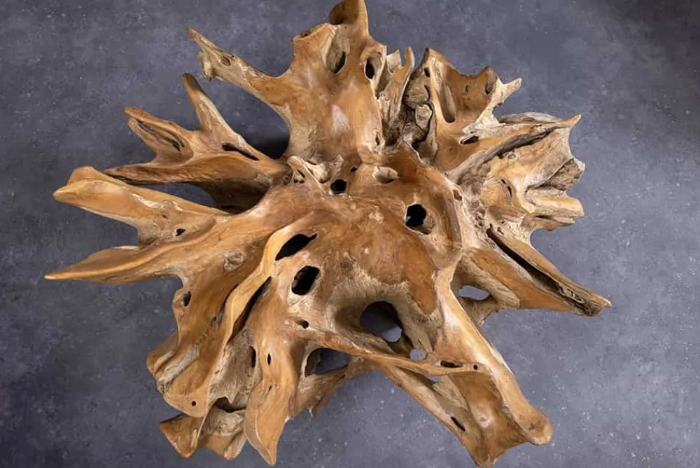 Riess-Ambiente Mehr...|Couchtische > Runder Couchtisch ROOT 100cm natur Teak Massivholz aus Wurzelholz mit Glasplatte