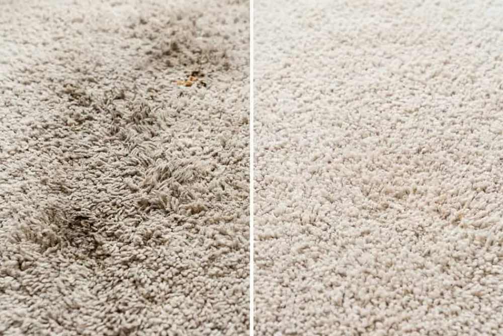 Riess-Ambiente Pflegeprodukte > Teppichreiniger OA CARPET CARE 500ml PFC und VOC frei Tiefenreiniger für Textilboden
