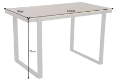 Riess-Ambiente Gartentische > Wetterfester Gartentisch TAMPA LOUNGE 125cm grau natur Aluminium Metall Holz-Design Outdoor